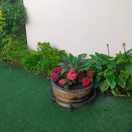 Casa De Diseno Con Jardin Cerca De Cordoba * San Sebastian de los Ballesteros